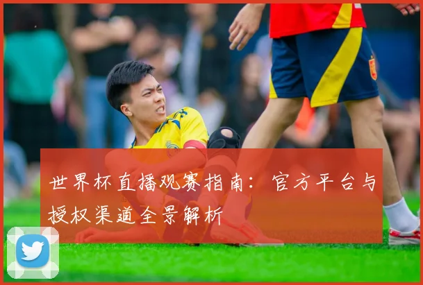 世界杯直播观赛指南：官方平台与授权渠道全景解析